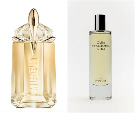 zara perfume designer dupes|dupe for zara memorable aura.